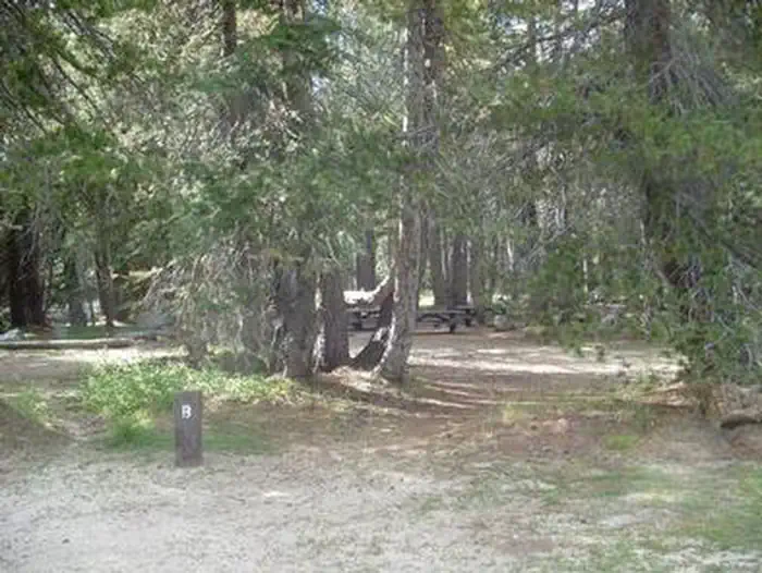 (Lake Alpine) Lodgepole Campground photo 4