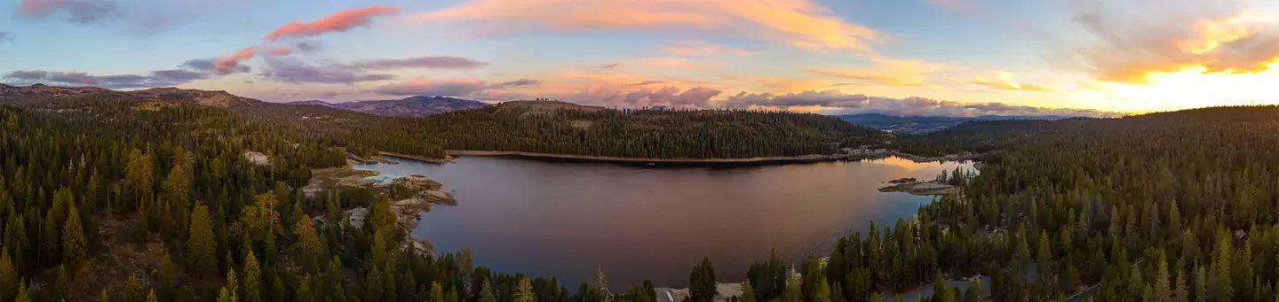 (Lake Alpine) Pine Marten photo