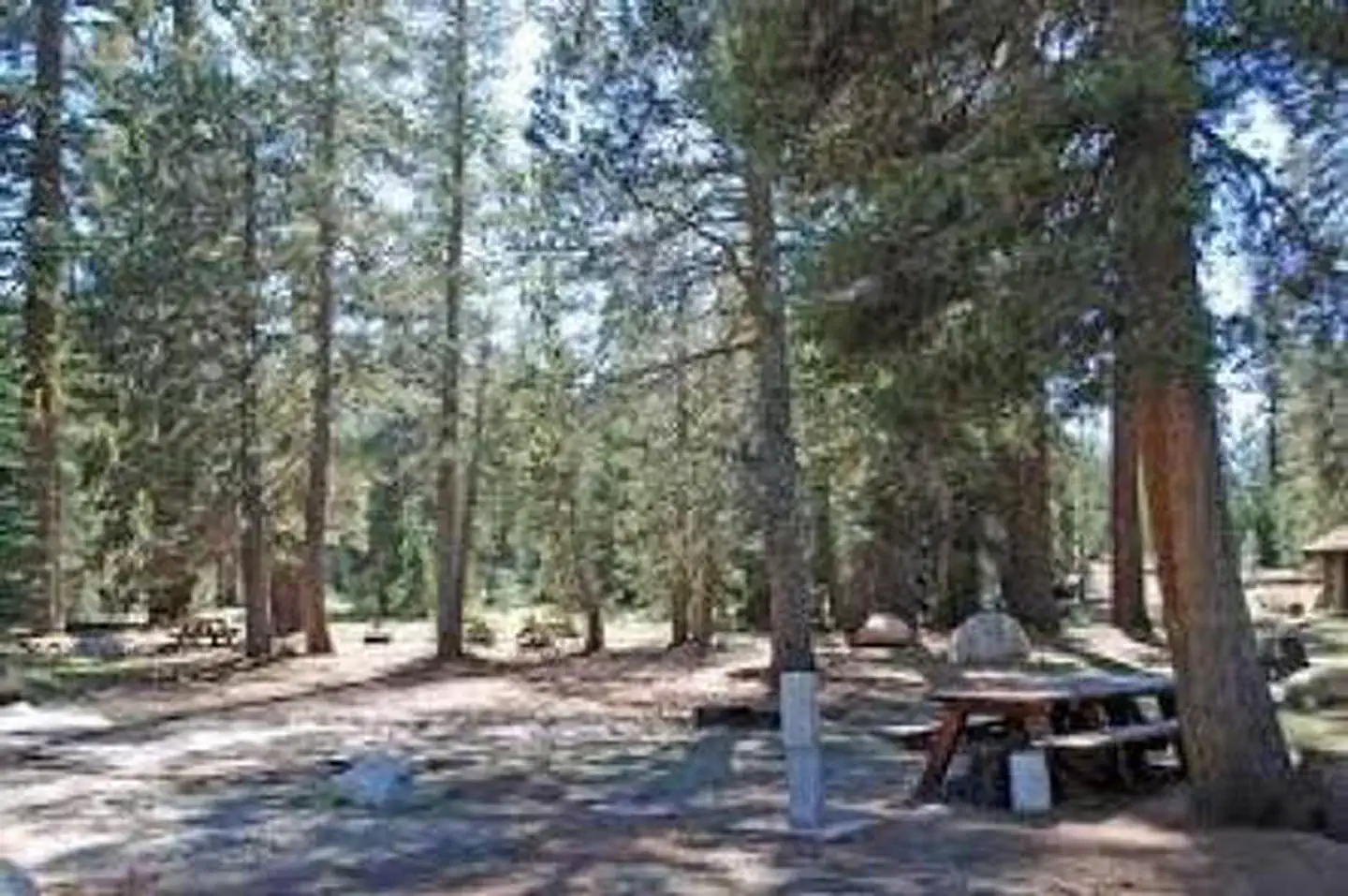 (LAKE ALPINE)  SILVER TIP CAMPGROUND photo 3