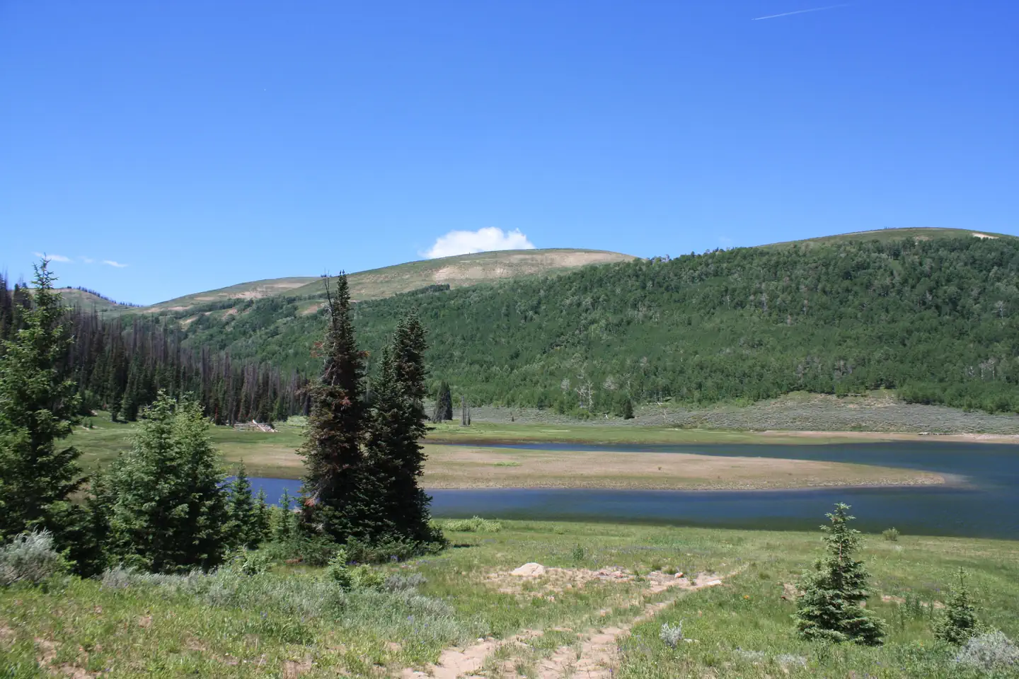LAKE CANYON REC AREA photo 3