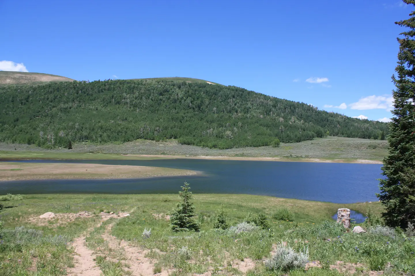 LAKE CANYON REC AREA photo 4