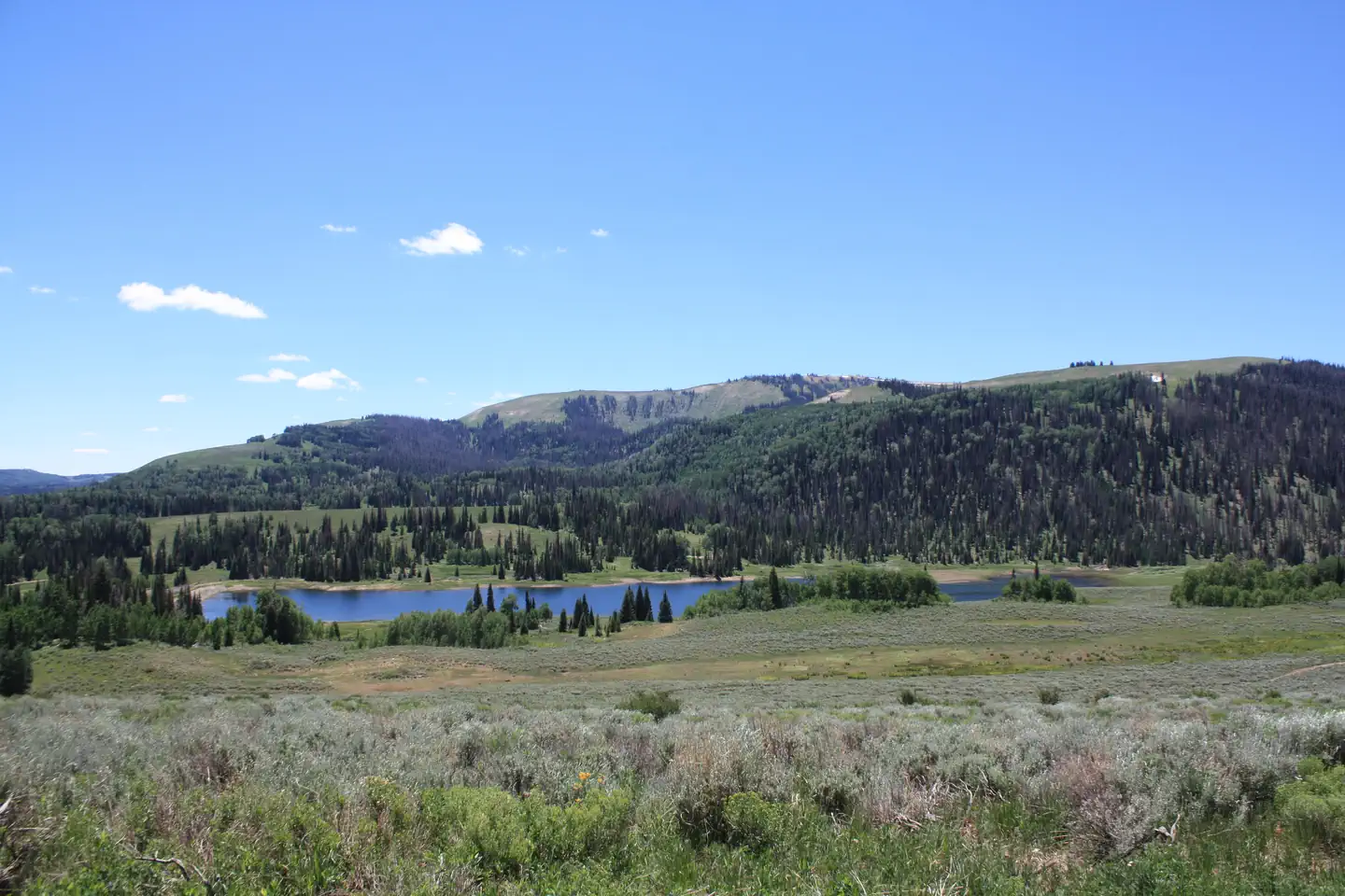 LAKE CANYON REC AREA photo 5