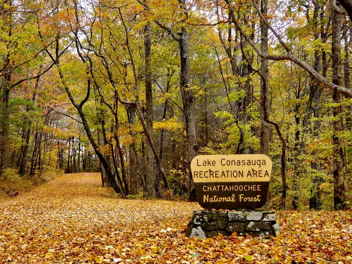 Lake Conasauga Campground photo 5