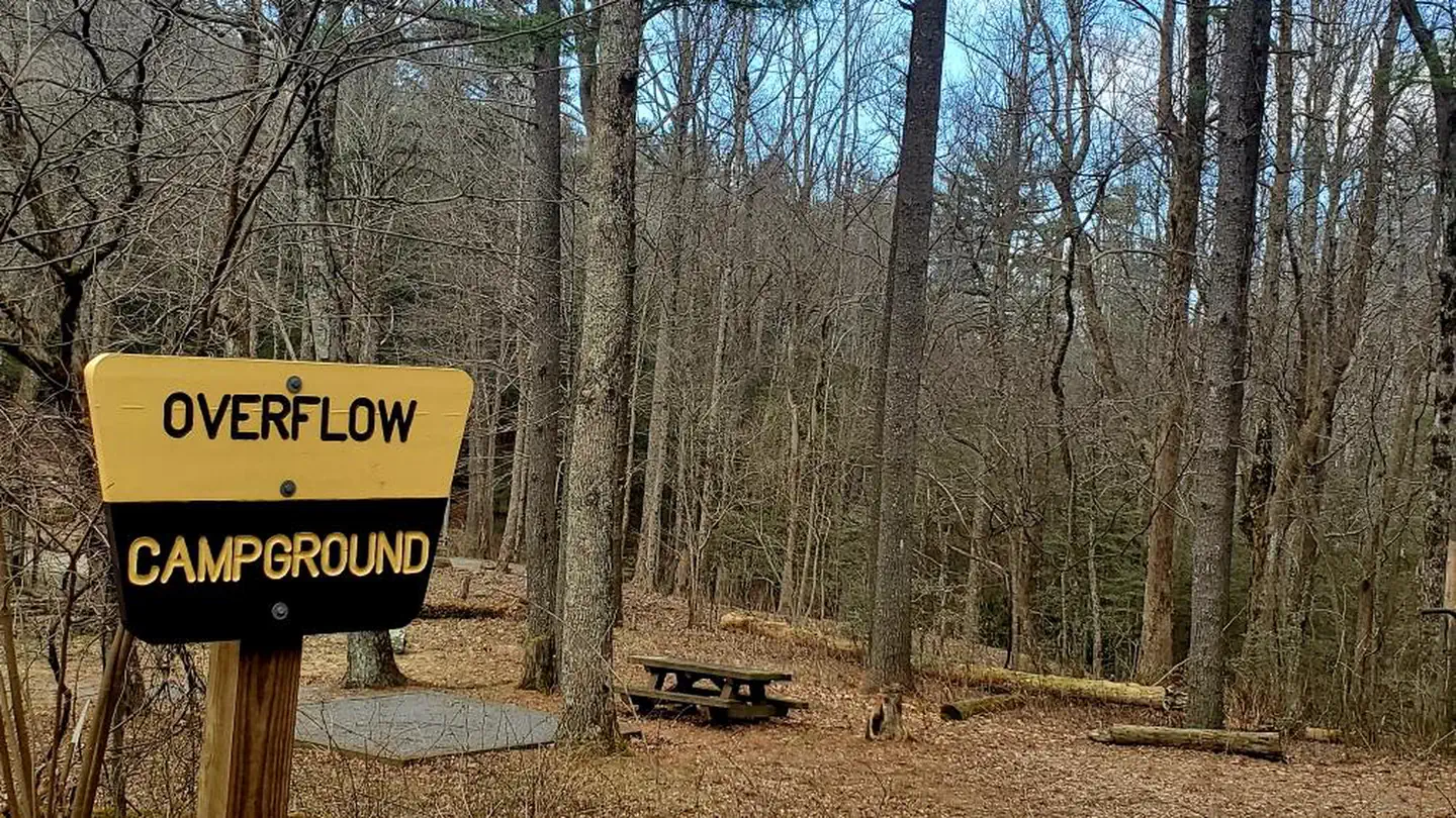 Lake Conasauga Overflow Campground photo