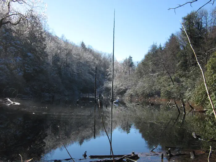 Lake Conasauga Overflow Campground photo 3