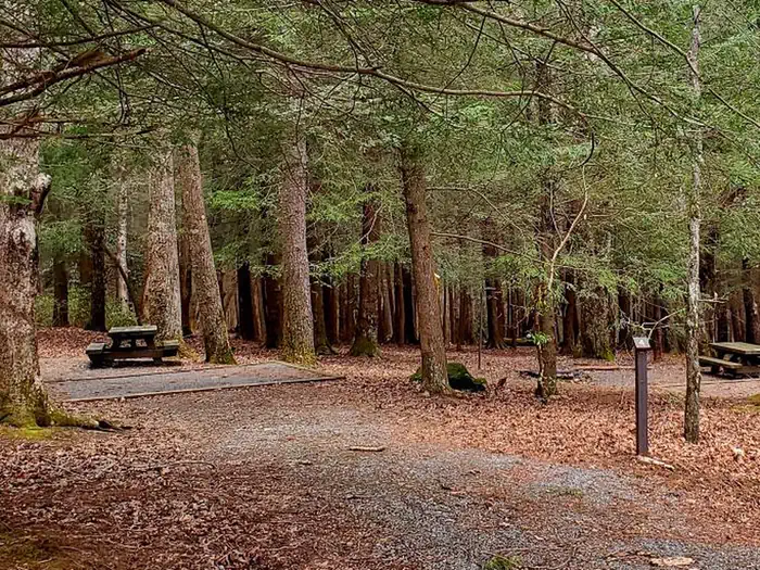 Lake Conasauga Overflow Campground photo 5
