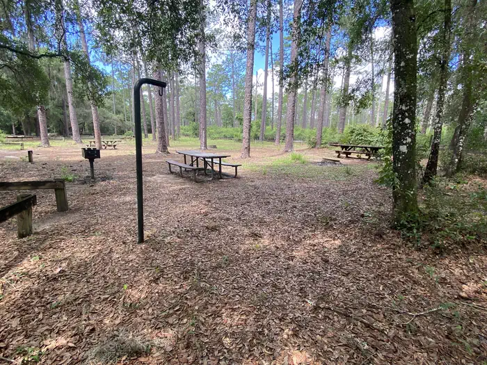 Lake Delancy West Campground photo