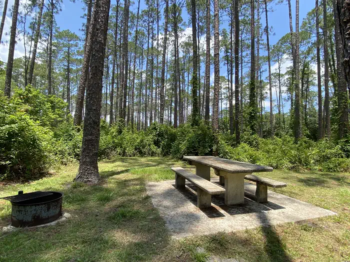 Lake Dorr Campground photo 2