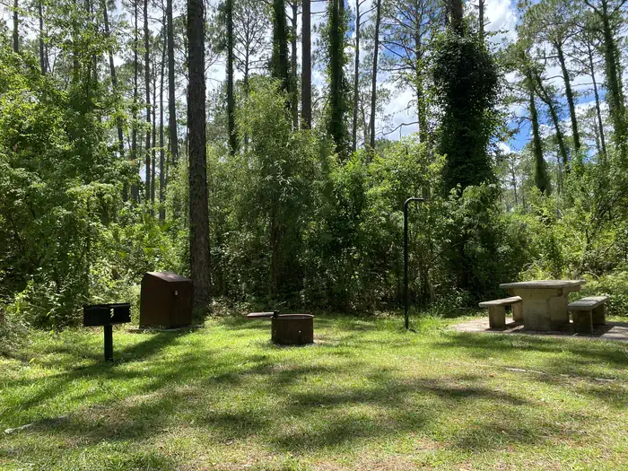 Lake Dorr Campground photo 4