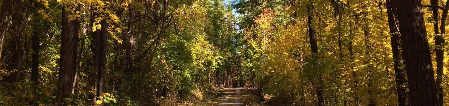 LAKE GILLETTE CAMPGROUND photo