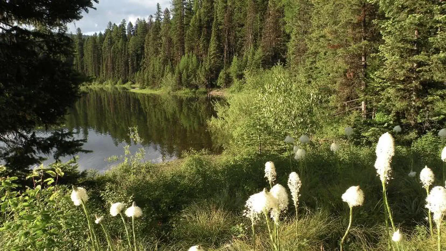 LAKE INEZ POINT 6 (GROUP CAMP SITE) photo