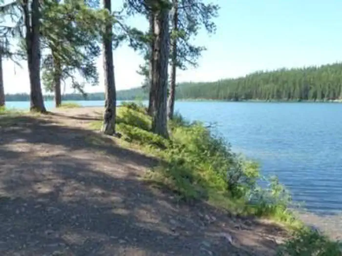 LAKE INEZ POINT 6 (GROUP CAMP SITE) photo 3