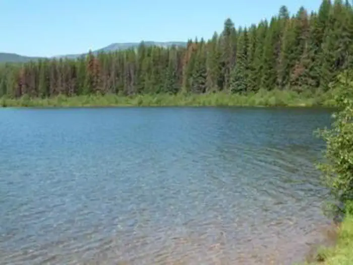 LAKE INEZ POINT 6 (GROUP CAMP SITE) photo 5