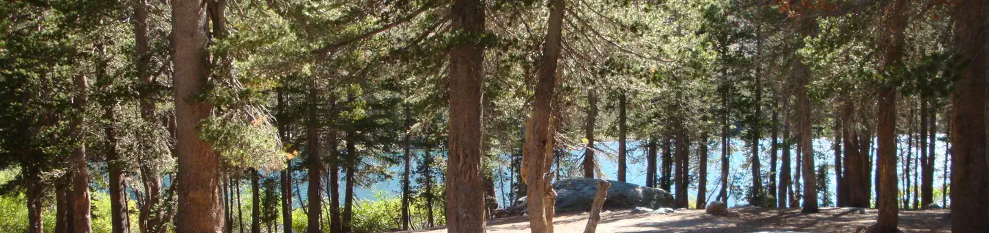 LAKE MARY CAMPGROUND photo