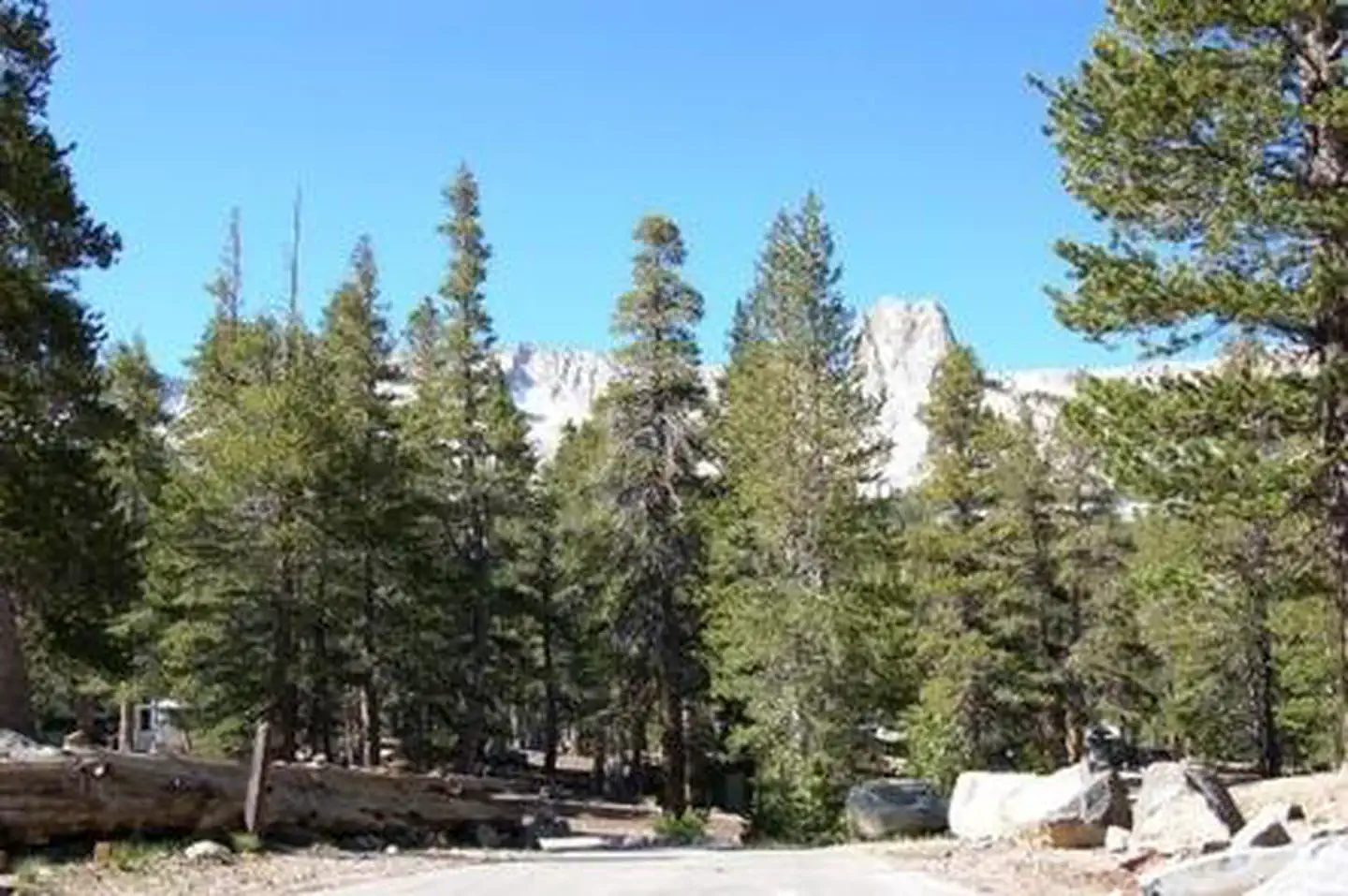 LAKE MARY CAMPGROUND photo 4