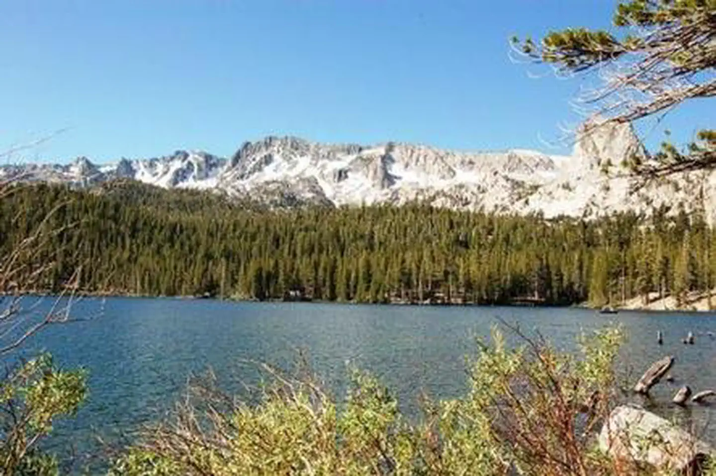LAKE MARY CAMPGROUND photo 5