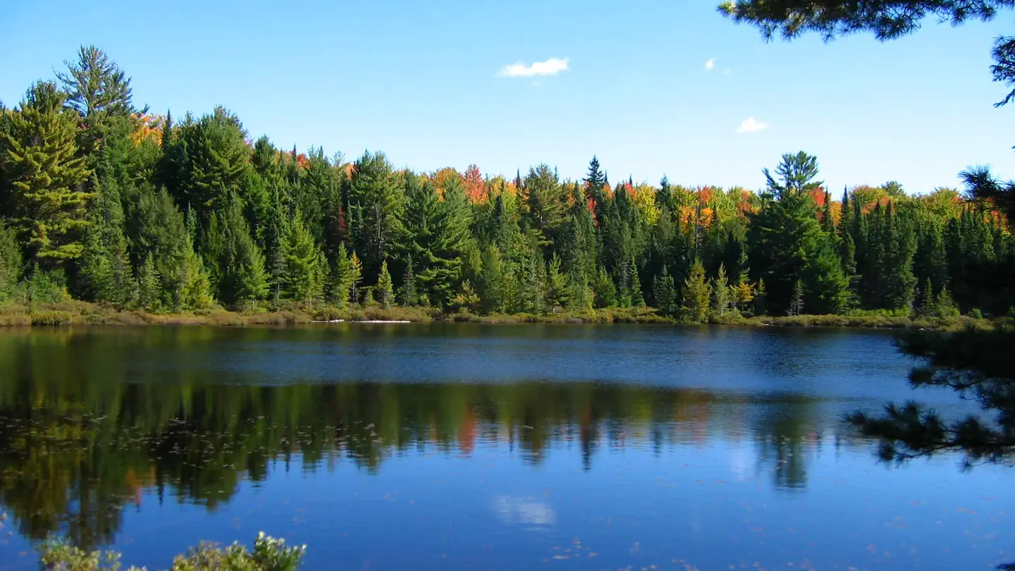 Lake Nineteen Campsite photo