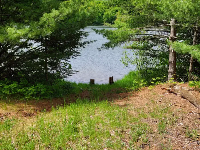 Lake Nineteen Campsite photo 3