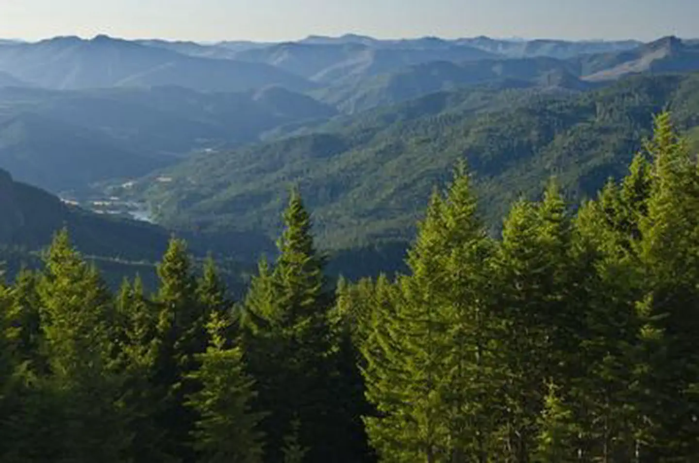 LAKE OF THE WOODS LOOKOUT photo