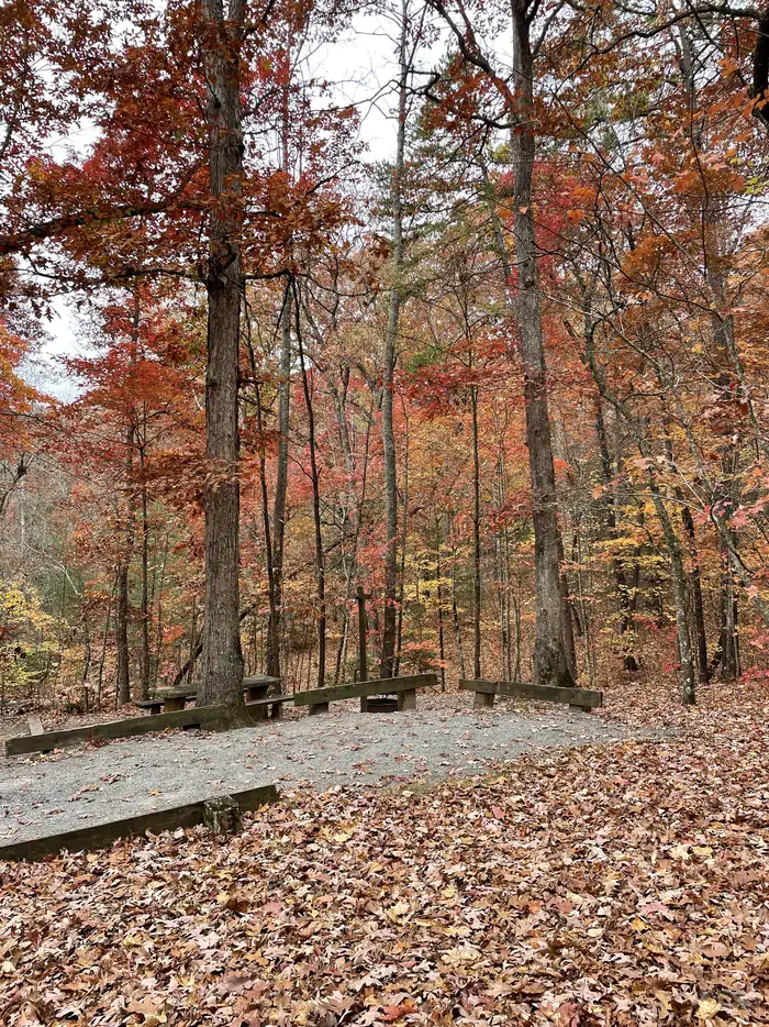 LAKE POWHATAN photo 5