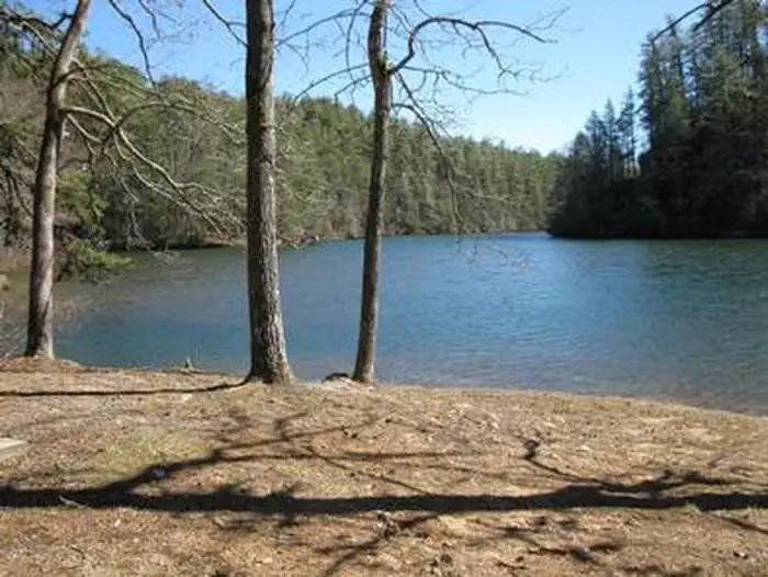 LAKE RABUN BEACH RECREATION AREA photo 2
