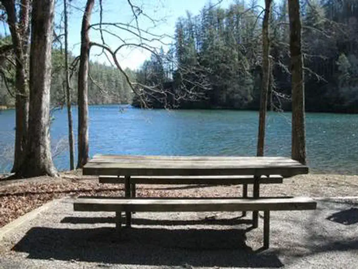 LAKE RABUN BEACH RECREATION AREA photo 4