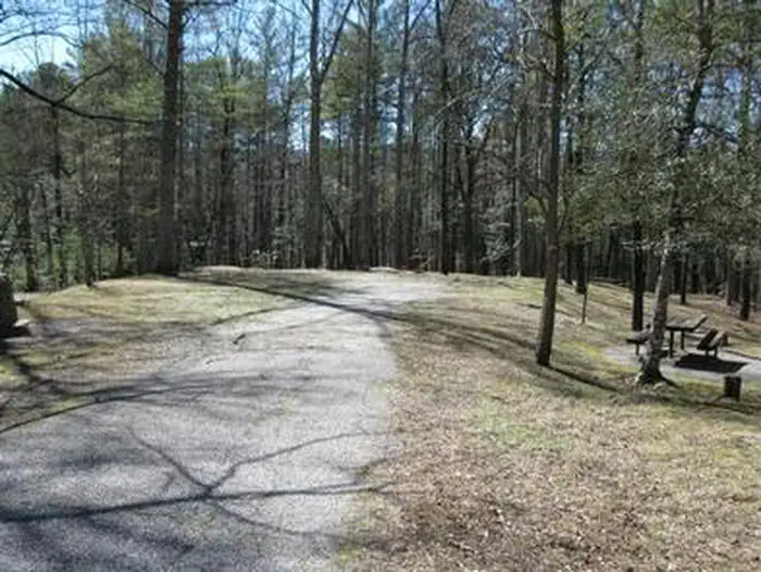 LAKE RABUN BEACH RECREATION AREA photo 5