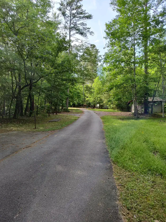 LAKE RUSSELL RECREATION AREA photo