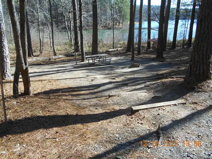 LAKE RUSSELL RECREATION AREA photo 3