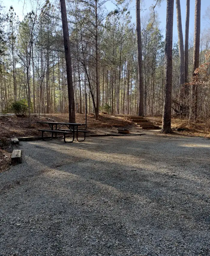 LAKE RUSSELL RECREATION AREA photo 5