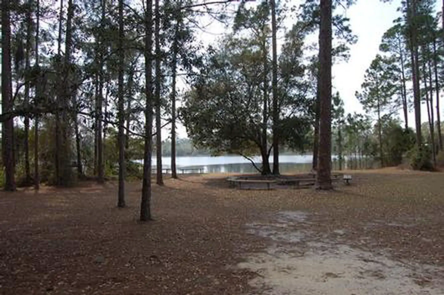 LAKE SHORE GROUP CAMP photo 2