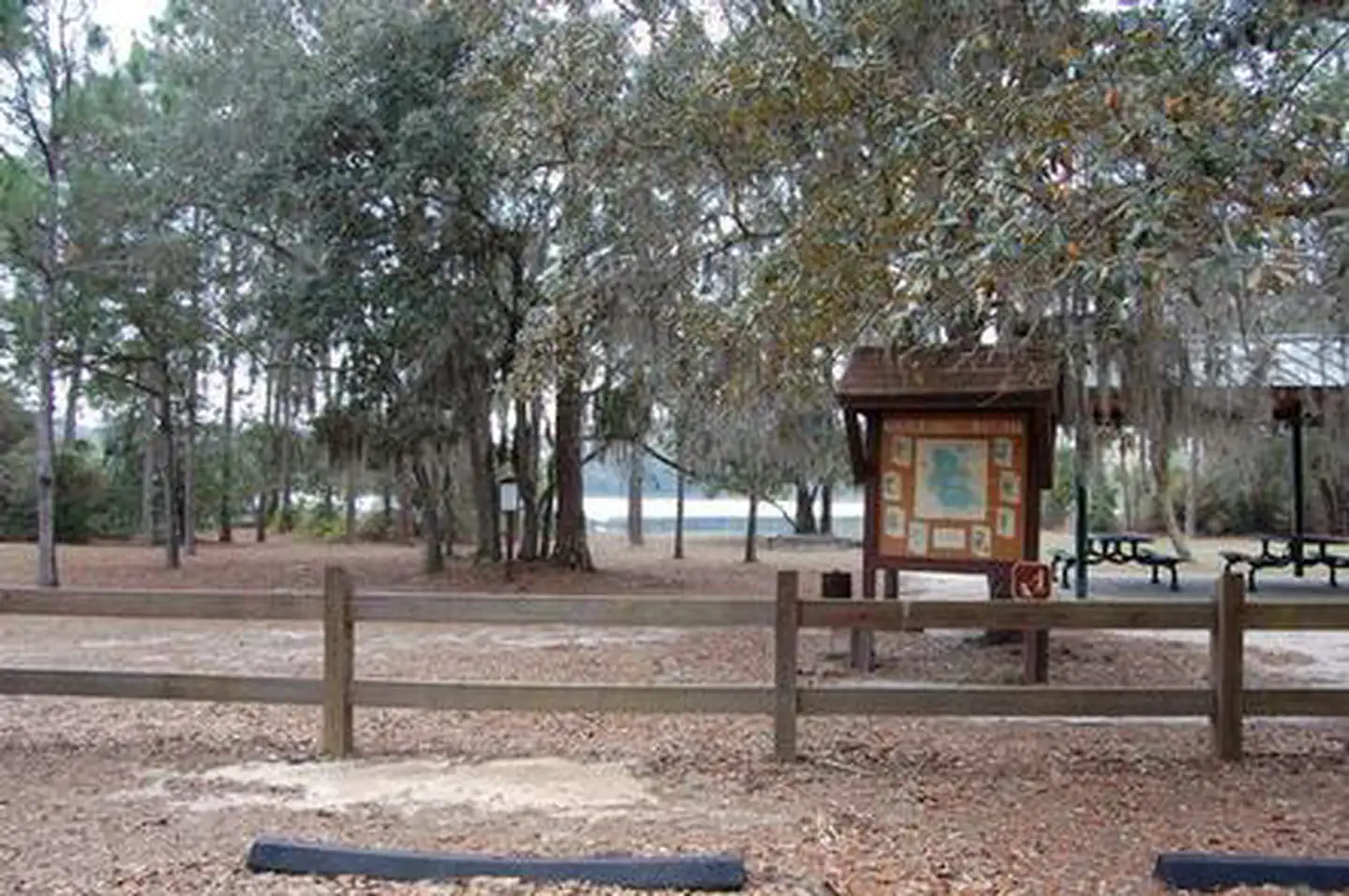 LAKE SHORE GROUP CAMP photo 4