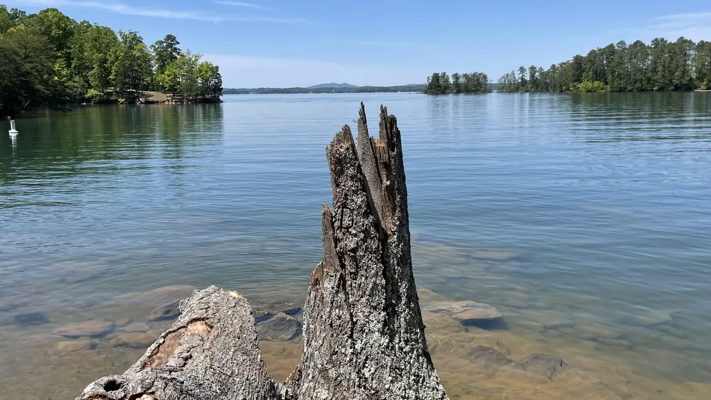 Lake Sidney Lanier Project Hunting Permits photo