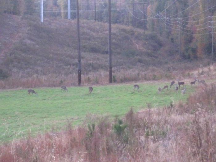 Lake Sidney Lanier Project Hunting Permits photo 4