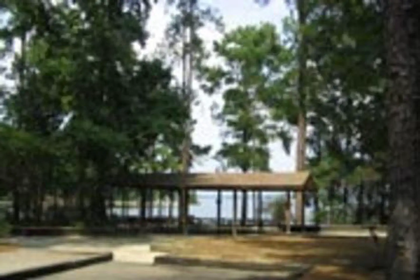 LAKE SPRINGS photo 2
