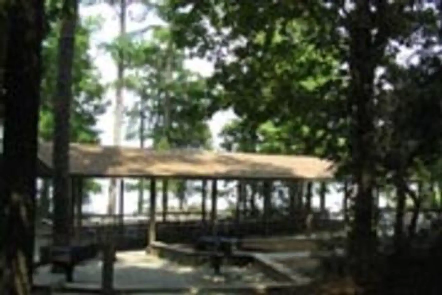 LAKE SPRINGS photo 3