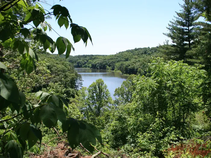 LAKE VESUVIUS RECREATION AREA photo 5