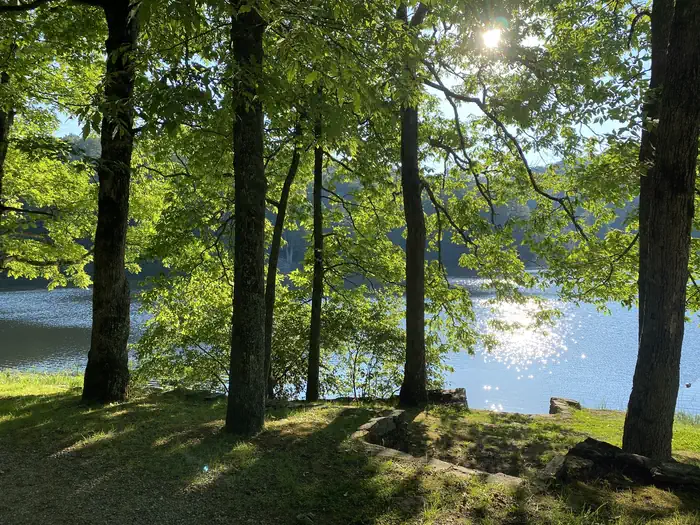 Lake Winfield Scott Recreation Area photo 4