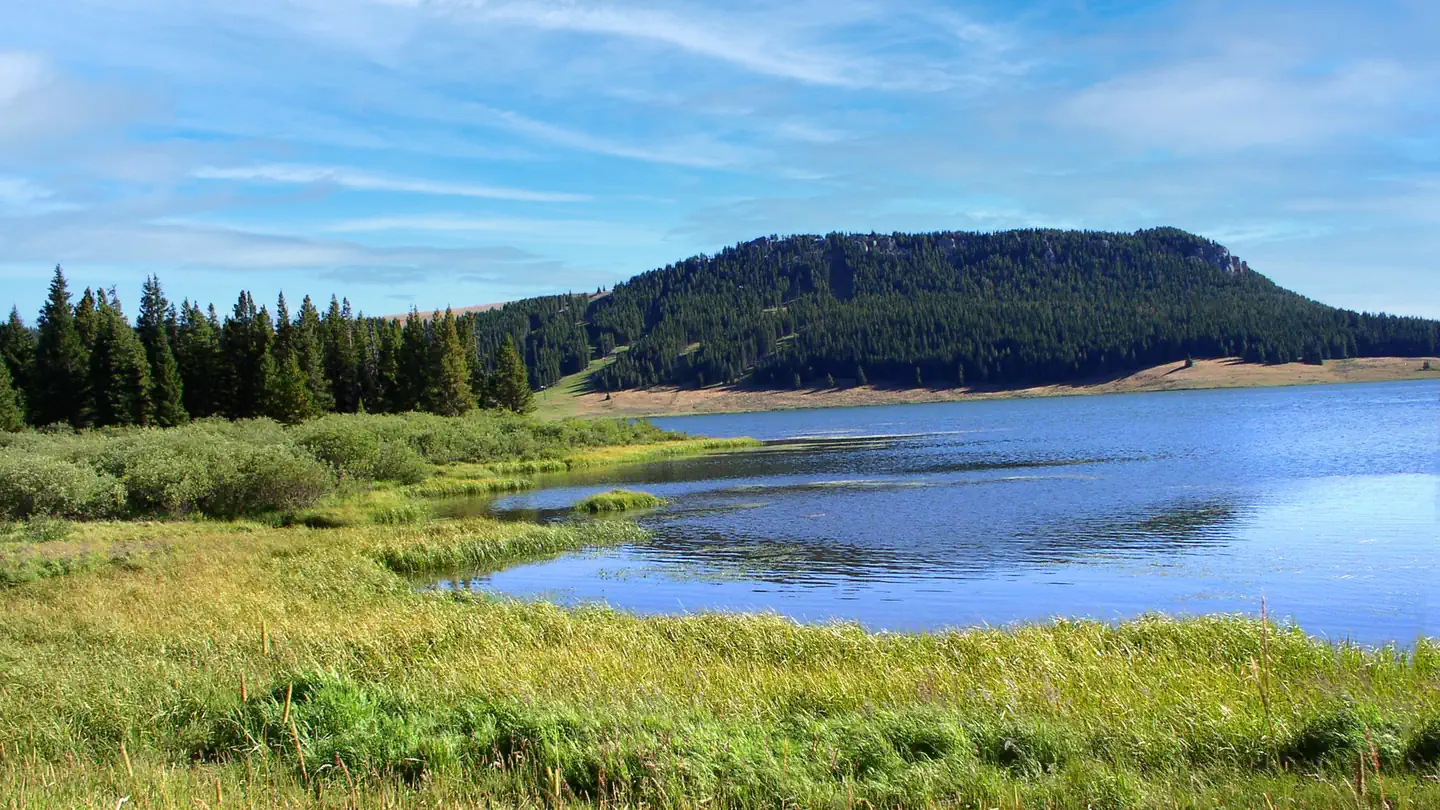 LAKEVIEW BIGHORN photo