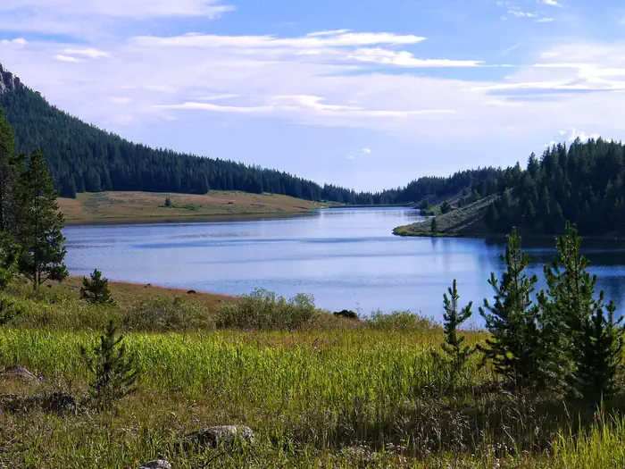LAKEVIEW BIGHORN photo 4