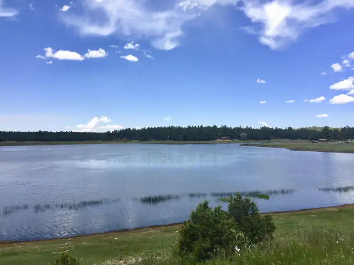 Lakeview Campground (AZ) photo 5