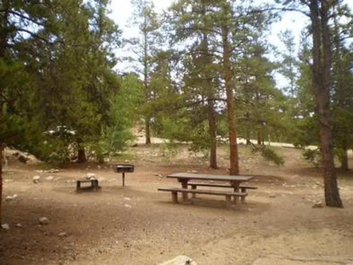 LAKEVIEW CAMPGROUND photo 4