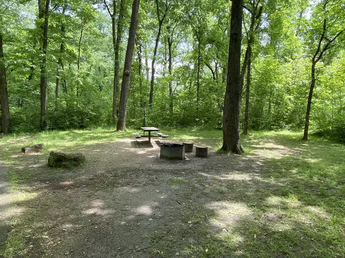 LANE SPRING RECREATION AREA photo 3