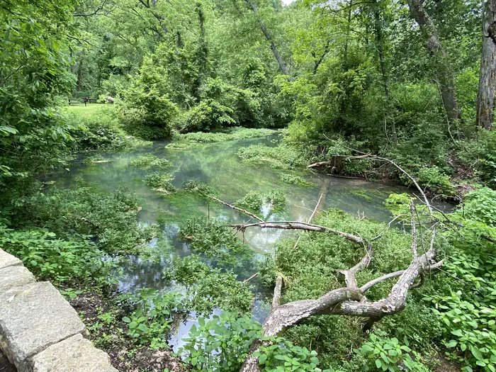 LANE SPRING RECREATION AREA photo 4