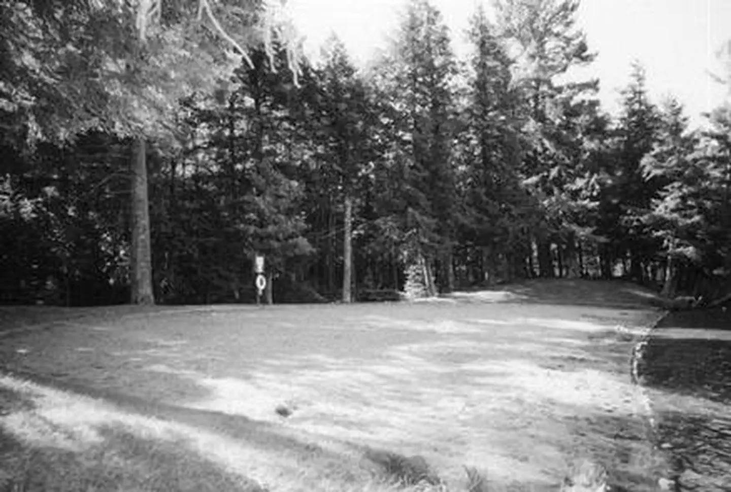 LAURA LAKE CAMPGROUND photo 2