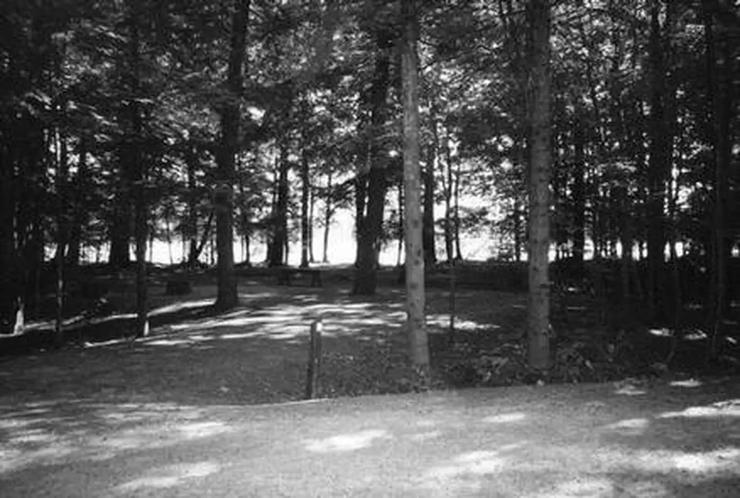LAURA LAKE CAMPGROUND photo 3