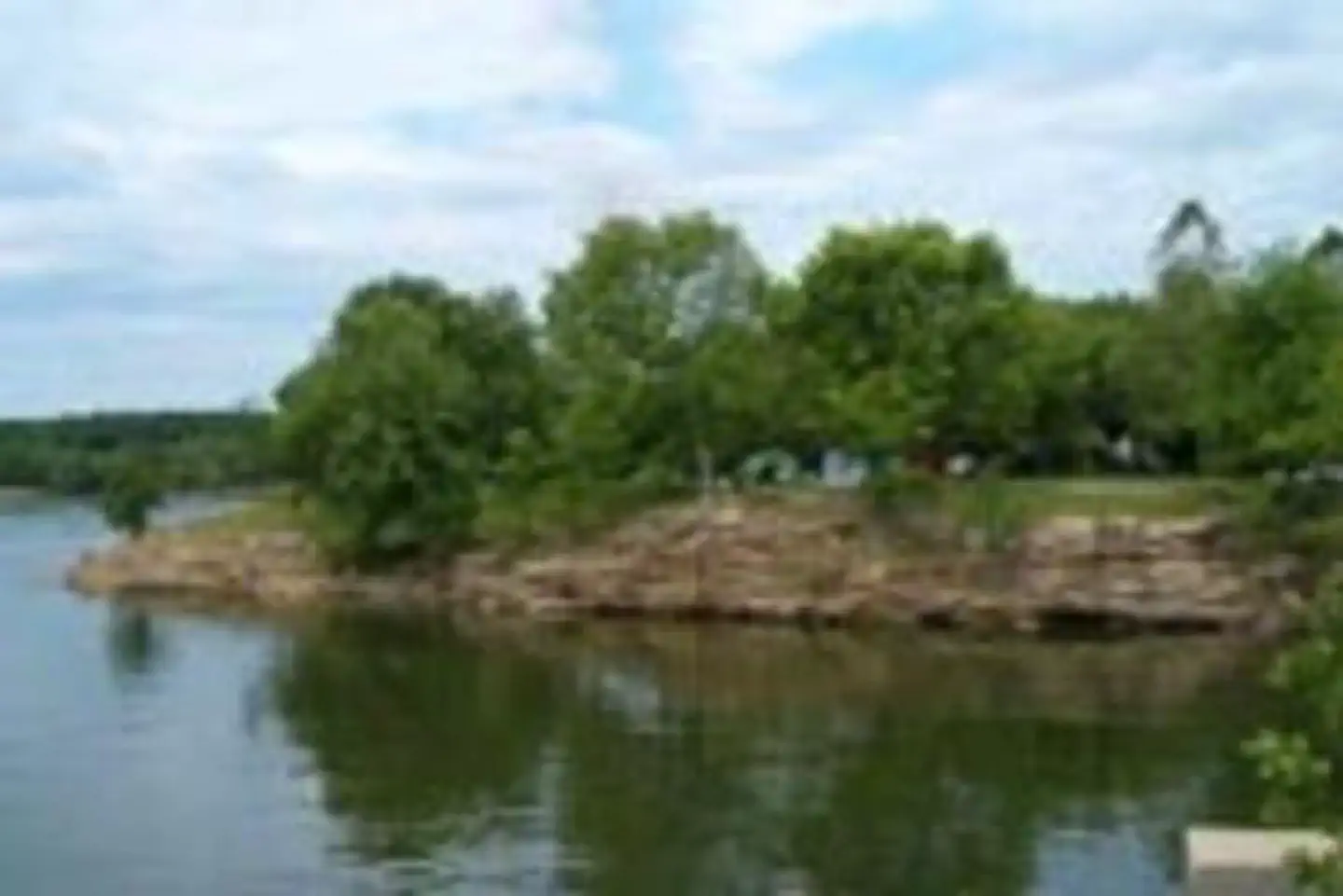 LAUREL BRANCH photo 4
