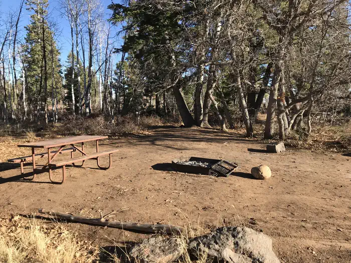 Lava Point Campground photo 2