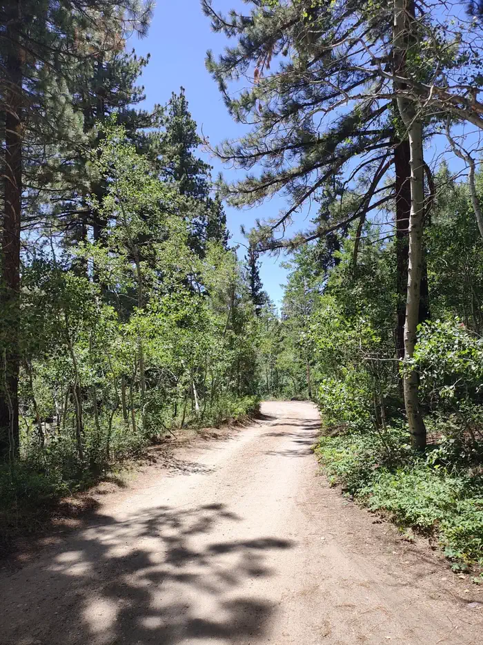 Leavitt Meadows photo