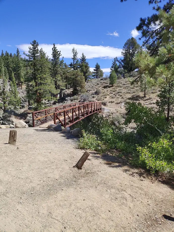 Leavitt Meadows photo 2